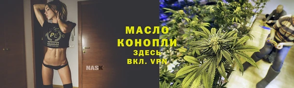 мдпв Богородск