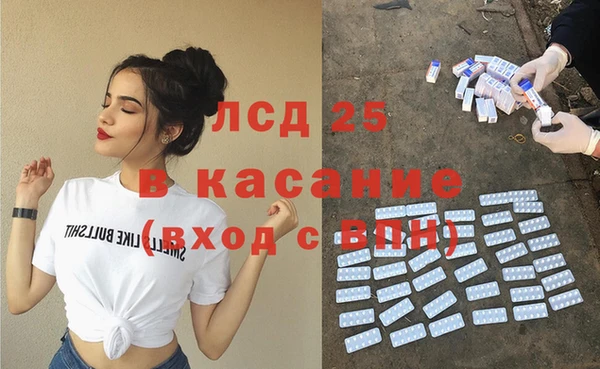 прущие грибы Богородицк