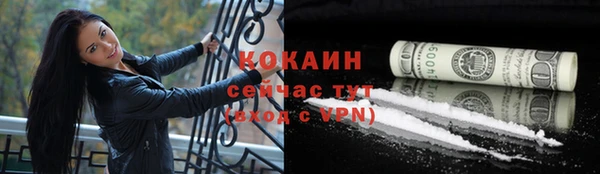 мдпв Богородск