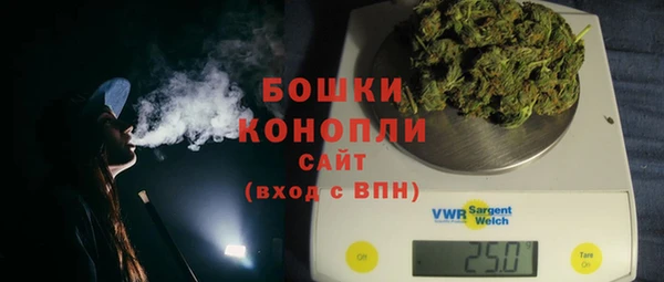 мдпв Богородск
