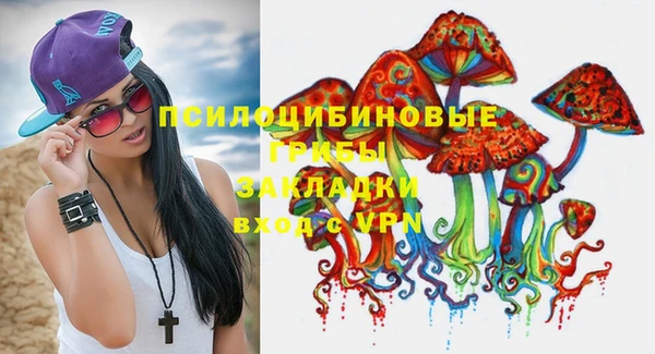 прущие грибы Богородицк