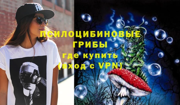 прущие грибы Богородицк