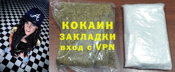 прущие грибы Богородицк