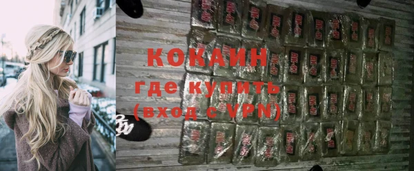 мдпв Богородск
