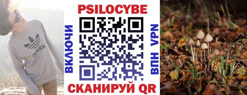 Псилоцибиновые грибы MAGIC MUSHROOMS  Бугуруслан 
